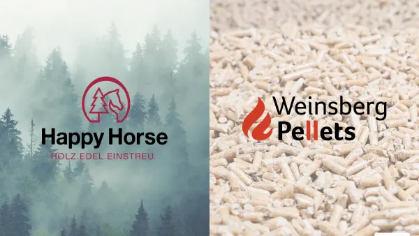 Website Screenshot: WEHO Türen - Weinsberg Holz GmbH – Eine weitere WordPress-Website - Date: 2023-06-26 10:24:43