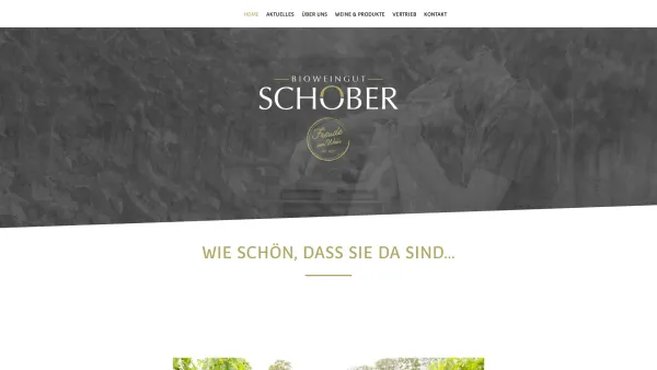 Website Screenshot: Weingut-Richard-Schober-Gaweinstal - Weingut Schober - Freude am Wein - Date: 2023-06-14 10:46:14