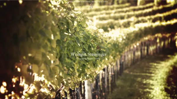 Website Screenshot: Weingut Steininger Langenlois - Weingut Steininger – Sekt & Wein | Langenlois | Kamptal | Austria - Date: 2023-06-26 10:24:46
