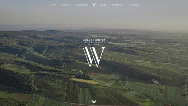 Website Screenshot: Wellanschitz Weingut - Weingut Wellanschitz | Burgenland | Neckenmarkt - Date: 2023-06-26 10:24:51
