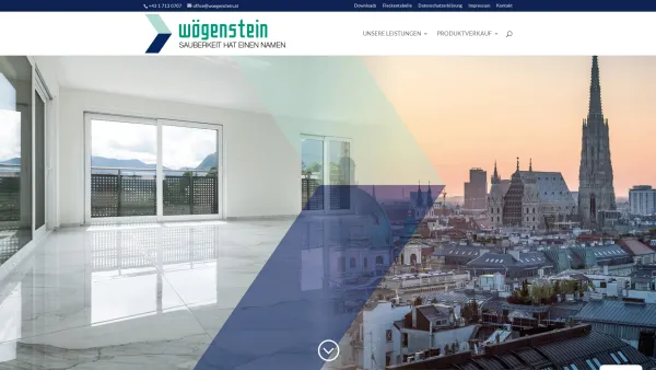 Website Screenshot: Carpet Cleaner - Sauberkeit hat einen Namen - A.Wögenstein GmbH, 1030 Wien - Date: 2023-06-15 16:02:34