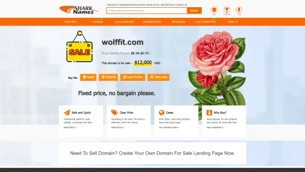 Website Screenshot: wolff IT Die Spezialisten - wolffit.com is for sell. - Shark Name - Date: 2023-06-26 10:25:16