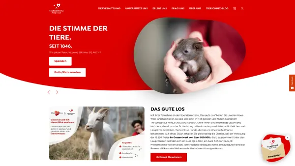 Website Screenshot: beWiener Tierschutzvere/ Wiener Tierschutzhaus Hunde und Katzen suchen eneues Zuhause! - Tierschutz Austria - Die Stimme der Tiere seit 1846 - Date: 2023-06-26 10:25:18