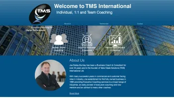 Website Screenshot: TMS Solution International GmbH - Home | TailorMadeSolutions - Date: 2023-06-22 15:02:29
