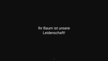Website Screenshot: Baumarbeiten Spiegel Spiegel GmbH - Baumarbeiten Spiegel - Baumpflege und Baumkontrolle - Date: 2023-06-14 10:46:38