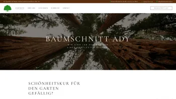 Website Screenshot: Baumschnitt Ady Gartenpflege aller Art zu fairen Preisen - Startseite - baumschnitt-ady.at - Date: 2023-06-22 12:13:13