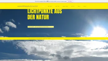 Website Screenshot: Concept-net.at Strategie und Marketingberatung und www.bildergalerie.tyrol.at - Bildergalerie Tyrol Fotos by Sonja Ulmann - Date: 2023-06-22 15:10:46