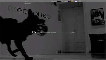Website Screenshot: ((( echonet.at webproduction consulting )) - echonet communication - Eine Idee mehr. Österreich - Date: 2023-06-22 15:11:10