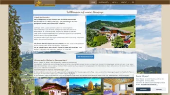 Website Screenshot: Josef Rettensteiner - Ferienwohnung Flachau - Haus Sonnenschein in Reitdorf - Date: 2023-06-14 10:39:48