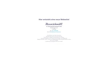 Website Screenshot: Haunschmidt Ihr Installateur - Startseite - Haunschmidt Installateur GesmbH & Co KG - Date: 2023-06-22 15:02:13