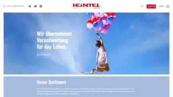 Website Screenshot: R.Heintel Medizintechnik - Heintel - Date: 2023-06-22 15:16:29