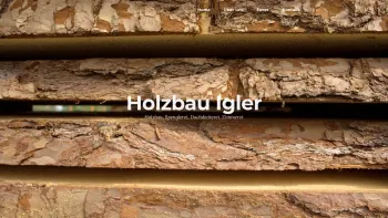 Website Screenshot: Ing. Hans Holzbau Igler - Holzbau Igler - Date: 2023-06-14 10:38:10