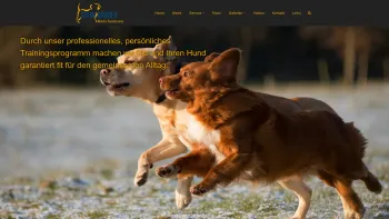 Website Screenshot: Hundebetreuung & Ausbildung Fam. Steingruber - Steingruber – Mobiler Hundetrainer - Date: 2023-06-15 16:02:34