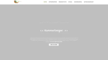 Website Screenshot: bei Alois Kammerberger - Kammerberger Alfred e.U. - Home - Date: 2023-06-23 12:04:34
