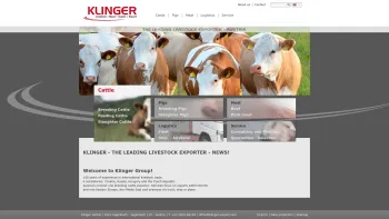 Website Screenshot: Klinger GmbH - Klinger Export - Date: 2023-06-23 12:05:00