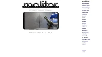 Website Screenshot: Armin Molitor - Molitor - Date: 2023-06-14 10:43:56
