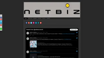 Website Screenshot: netbiz pharma consulting - netbiz - Date: 2023-06-23 12:07:50