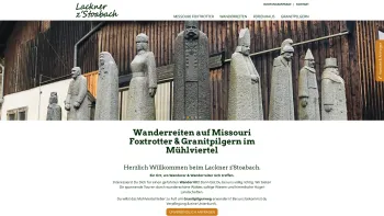 Website Screenshot: Lackner zStoabach - Wanderreithof Lackner im Mühlviertel > Missouri Foxtrotter - Date: 2023-06-23 12:08:55
