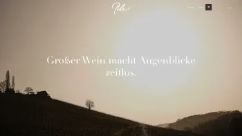 Website Screenshot: WEINGUT ERICH & WALTER POLZ - Weingut Polz, Südsteiermark - Date: 2023-06-15 16:02:34