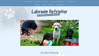 Website Screenshot: Labradorzucht Pichler - Labrador Retriever Rassehundezucht im Salzkammergut - - Date: 2023-06-26 10:19:44