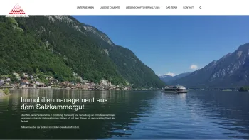 Website Screenshot: Salinen Austria - Home - Date: 2023-06-14 10:44:57