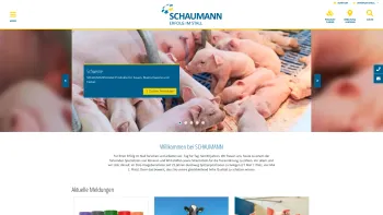Website Screenshot: Schaumann Österreich - H.Wilhelm SCHAUMANN GmbH & Co KG - Date: 2023-06-26 10:20:47