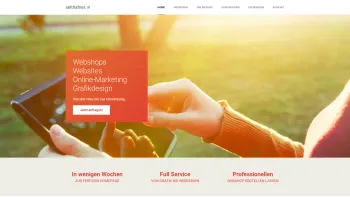 Website Screenshot: Werbegrafik Selthafner - Homepage erstellen, Webdesign, Onlineshop, Grafikdesign - selthafner | die Webagentur. - Date: 2023-06-26 10:21:22