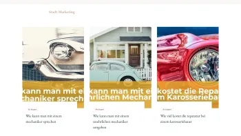 Website Screenshot: Stadtmarketing Steyr RiS-Company - Stadt Marketing - Date: 2023-06-14 10:45:23