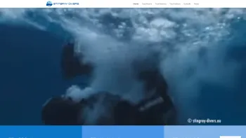 Website Screenshot: TAUCHSCHULE STINGRAY DIVERS - Stingray Divers - Tauchen lernen, das ultimative Erlebnis! Tauchkurse Wien - Date: 2023-06-26 10:22:27