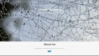 Website Screenshot: IT-Services Viehböck - Johann Viehböck - Date: 2023-06-26 10:24:11