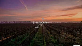 Website Screenshot: Steindorfer Weingut . Kellerei . Vinothek - STEINDORFER | Das Weingut in der Nationalparkgemeinde Apetlon - Date: 2023-06-26 10:24:46
