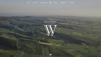 Website Screenshot: Wellanschitz GesmbH - Weingut Wellanschitz | Burgenland | Neckenmarkt - Date: 2023-06-26 10:24:51
